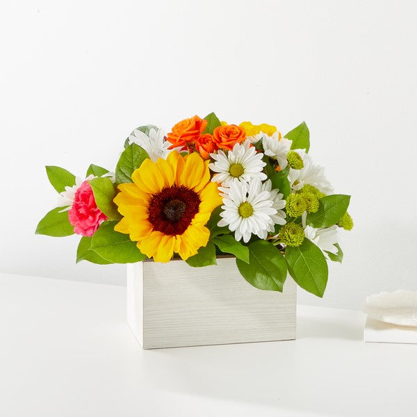 Sun-Drenched Blooms Box